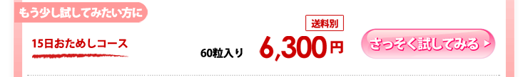 15日おためしコース