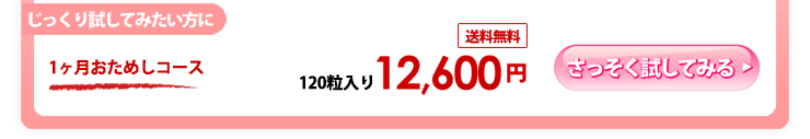 1ヶ月おためしコース
