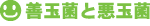 善玉菌と悪玉菌