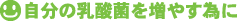 自分の乳酸菌を増やす為に