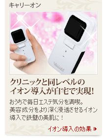 キャリーオン