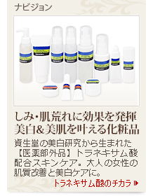 ナビジョン