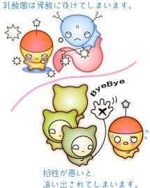 ヨーグルトでは、おなかの中で乳酸菌を増やすことはできません