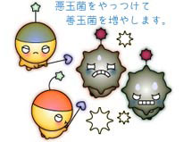 悪玉菌をやっつけて善玉菌を増やします。