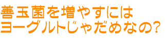 善玉菌を増やすにはヨーグルトじゃだめなの？
