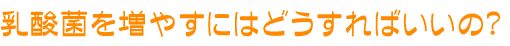 乳酸菌を増やすにはどうすればいいの？