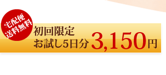 初回限定/お試し5日分/3150円/宅配便 送料無料