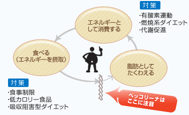 ペッコリーナが注目したメカニズム