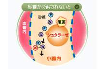 砂糖が分解されないと