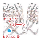 小じわ