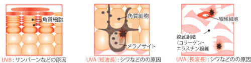 イメージ図