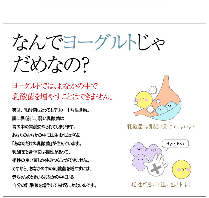 ヨーグルトでは、お腹の中で乳酸菌を増やすことはできません