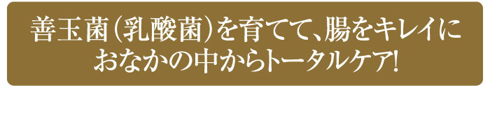 善玉菌（乳酸菌）を育てて、おなかの中からトータルケア