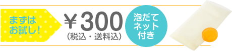 まずはお試し!泡だてネット付き