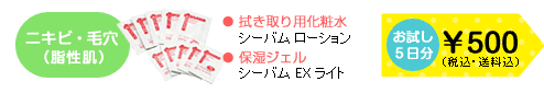ニキビ・毛穴(脂性肌)