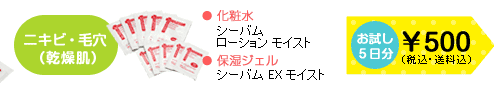ニキビ・毛穴(乾燥肌)