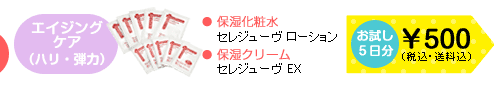 エイジング(ハリ・弾力)