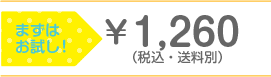 まずはお試し!\2,100