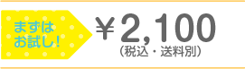 まずはお試し!\2,100