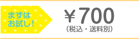 まずはお試し!\700