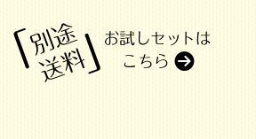別途料金