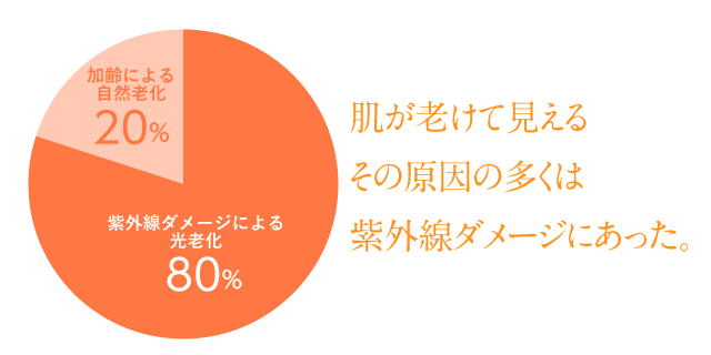 [肌の老化] 紫外線によるダメージ 割合