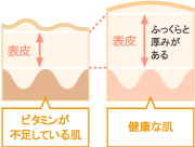 ビタミンが不足している肌・健康な肌