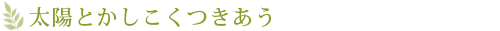 太陽とかしこくつきあう