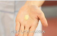 デイクリーム ファースト 手順