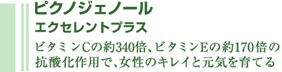 ピクノジェノール　エクセレントプラス