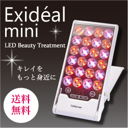 2回使用　Exideal mini エクスイディアル ミニ　LED美顔器　美品