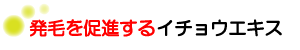 発毛を促進するイチョウエキス