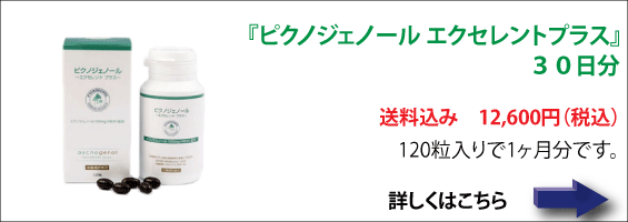 『ピクノジェノールエクセレントプラス』30日分 送料込み 12,600円(税込)120粒入りで一ヶ月分です。詳しくはこちら。