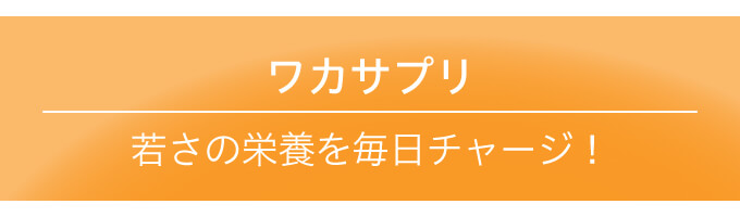 ワカサプリ - 「亜鉛＆銅 30粒」