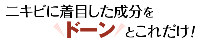 ニキビに着目した成分をドーンとこれだけ!