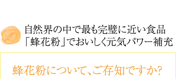 自然界の中で最も完璧に近い食品「蜂花粉」で美味しく元気パワー補充