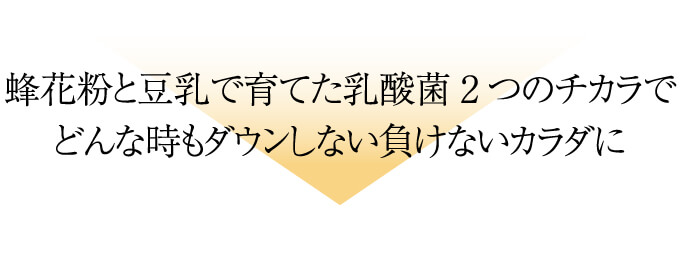 蜂花粉と豆乳で育てた乳酸菌2つのチカラでどんなときもダウンしない負けないカラダに