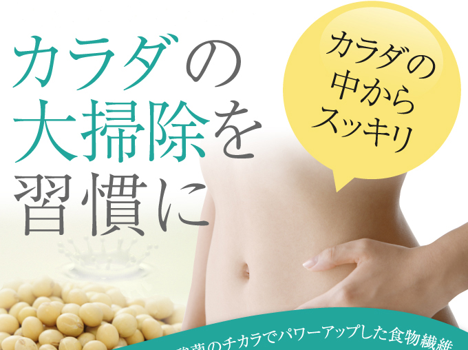 乳酸菌のチカラでパワーアップした食物繊維でカラダの大掃除を習慣に