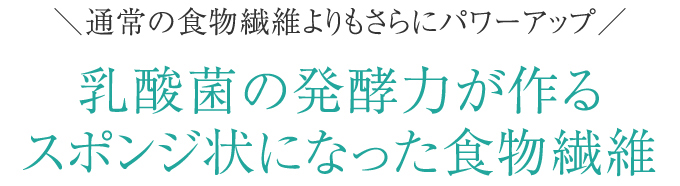 乳酸菌の発行力が作るスポンジ状になった食物繊維