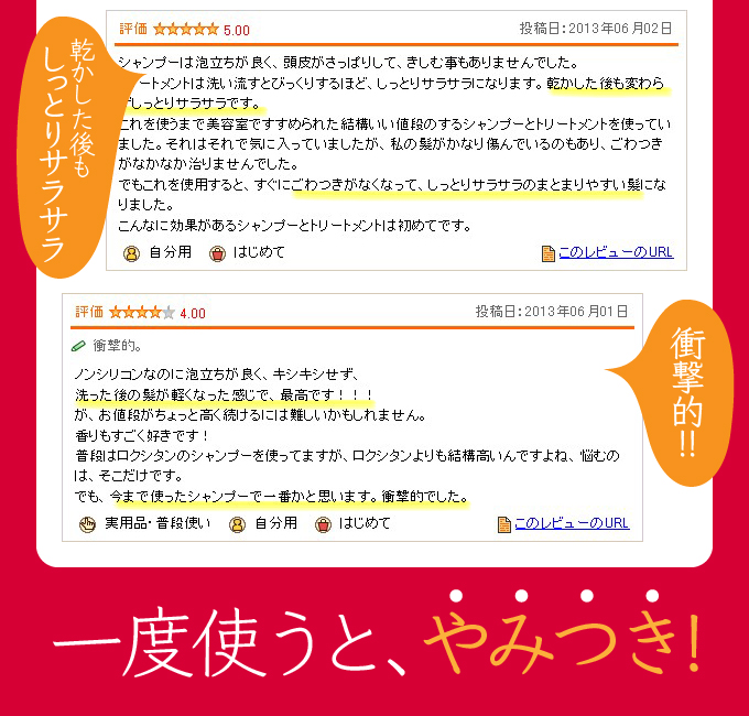 一度使うと、やみつき!