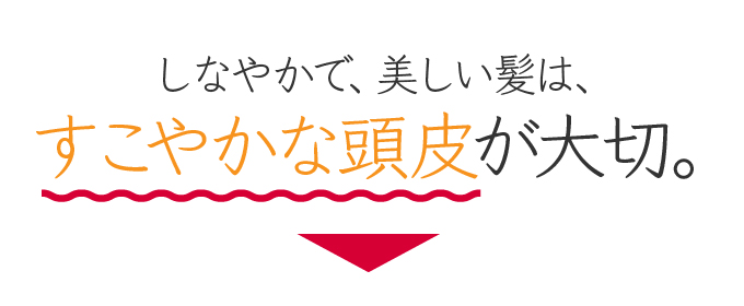強く、美しい髪は、すこやかな頭皮が大切