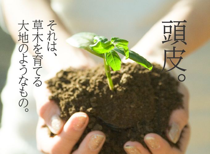 頭皮。それは、草木を育てる大地のようなもの