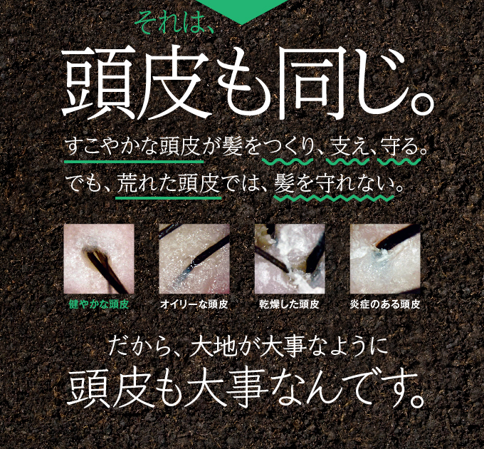 頭皮も同じ
