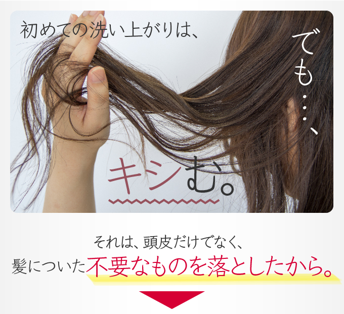 初めての洗い上がりはキシむ