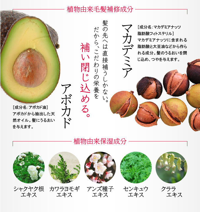植物由来毛髪補修・保湿成分
