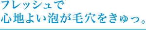 フレッシュで心地よい泡が毛穴をきゅっ。