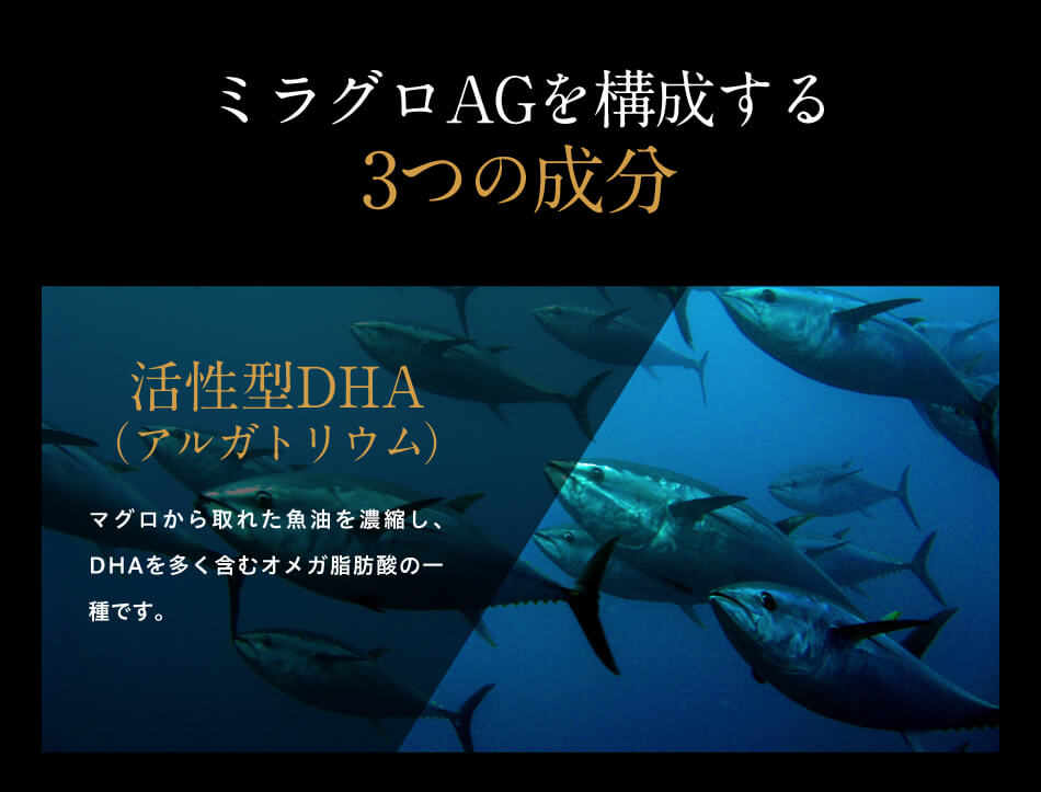 活性型DHAアルガトリウム