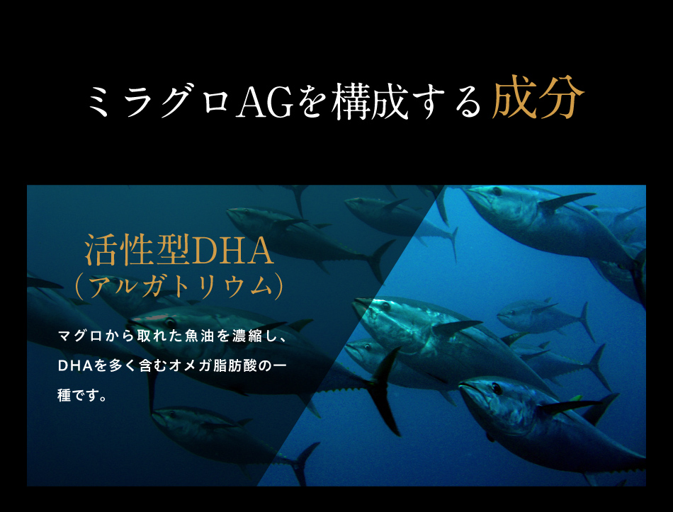 活性型DHAアルガトリウム