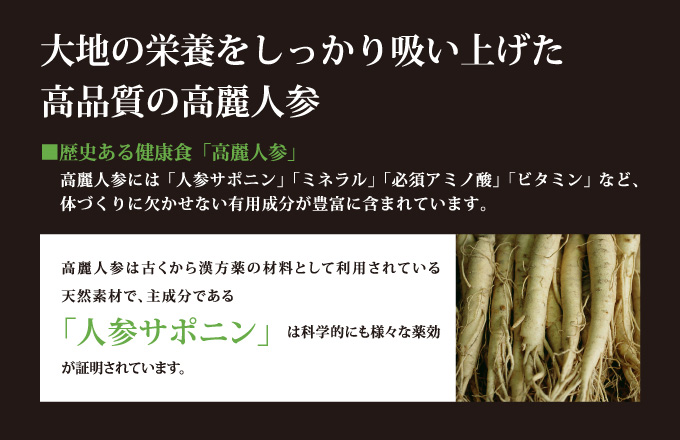 82％以上節約 OGハーブ 300粒 牡蠣エキス 亜鉛 高麗人参 タウリン 配合 サプリ megatechnik.at