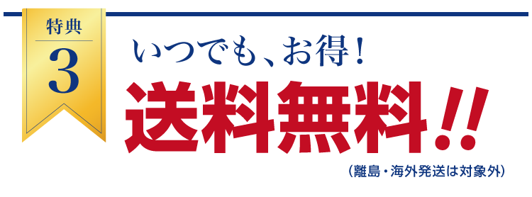 毎回送料無料